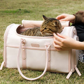 Foldable Enclosed Pet Carrier | Higooga